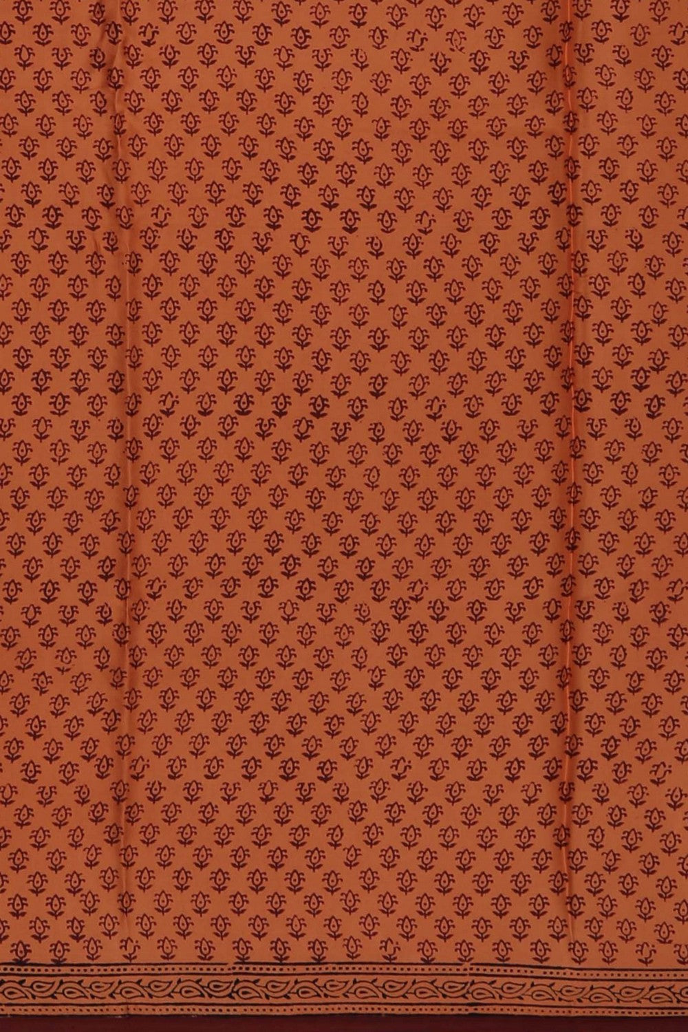 Image of Bagru Printed Mulmul Saree