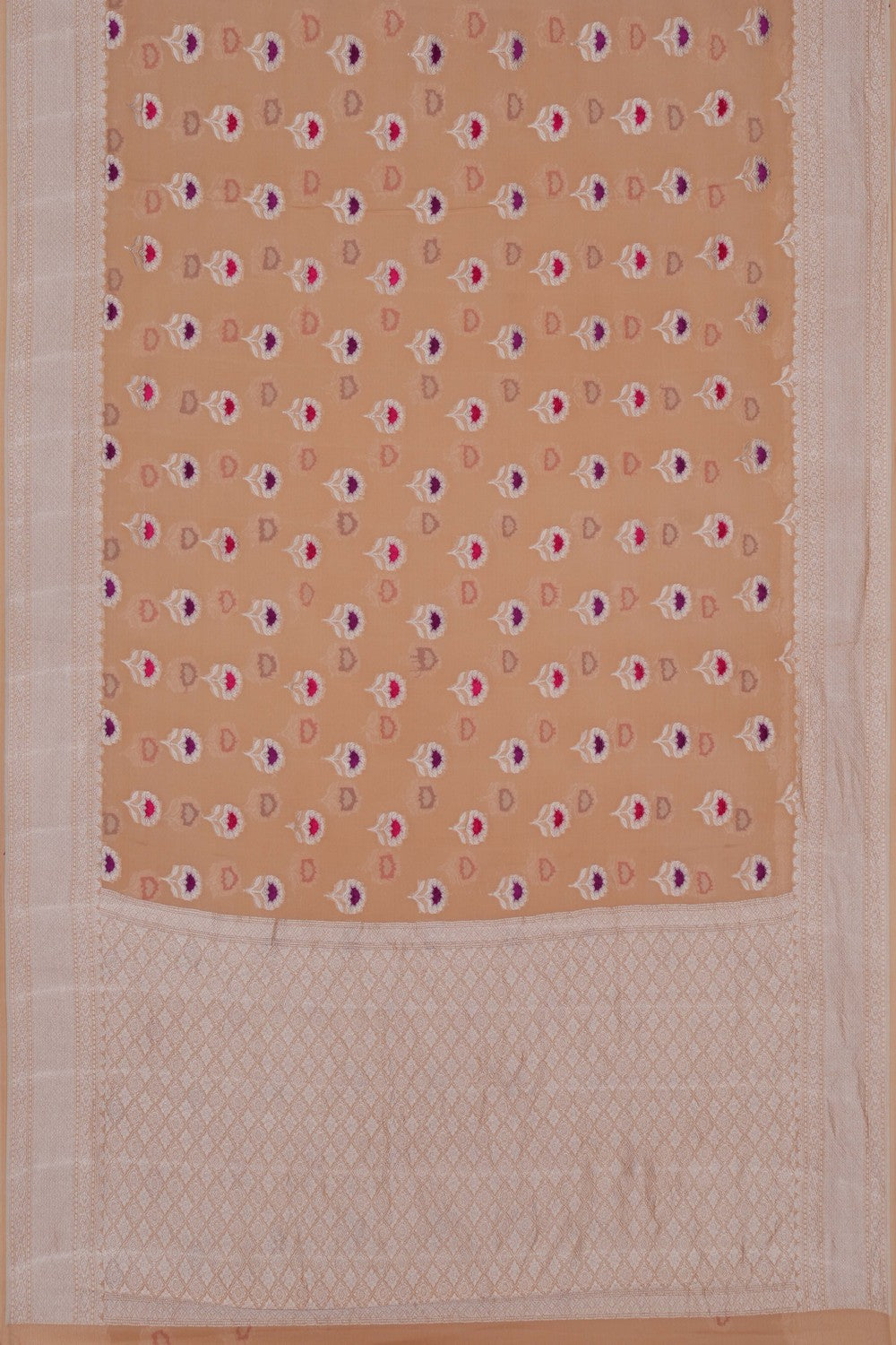 Image of Banarasi Chiffon Beige Saree