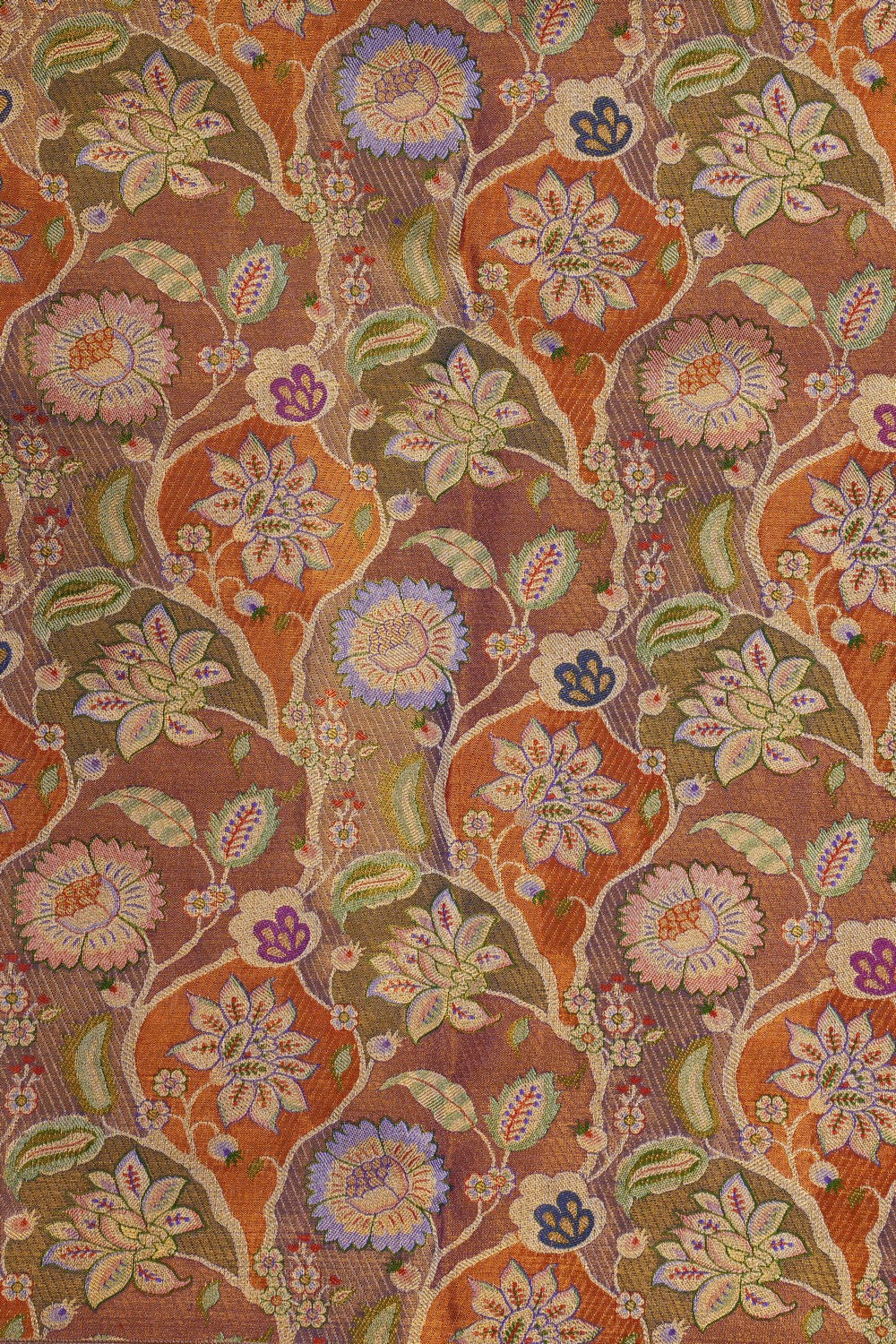 Image of Kanchipattu Rangkat Brocade Saree