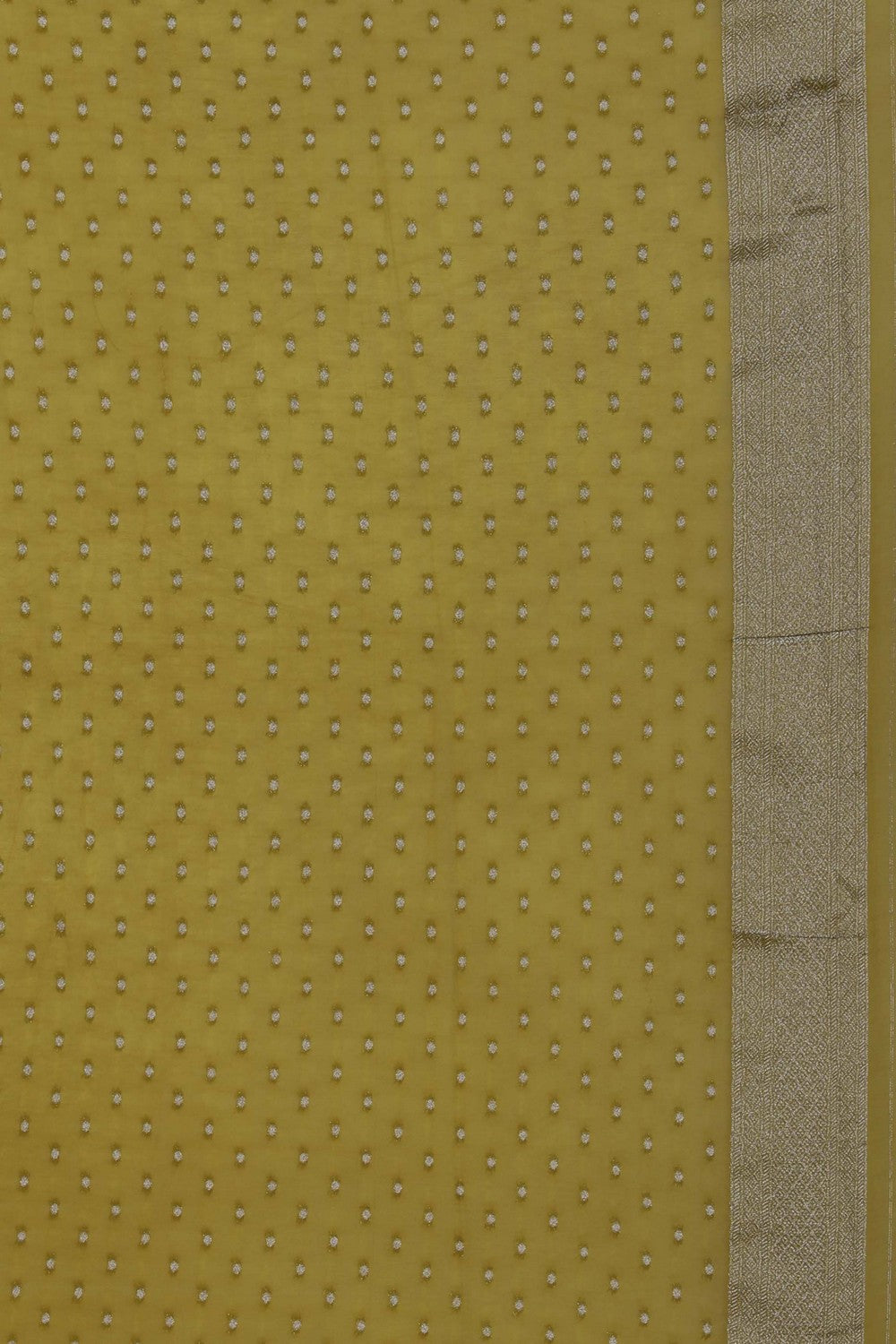 Image of A Spring Green Georgette Saree