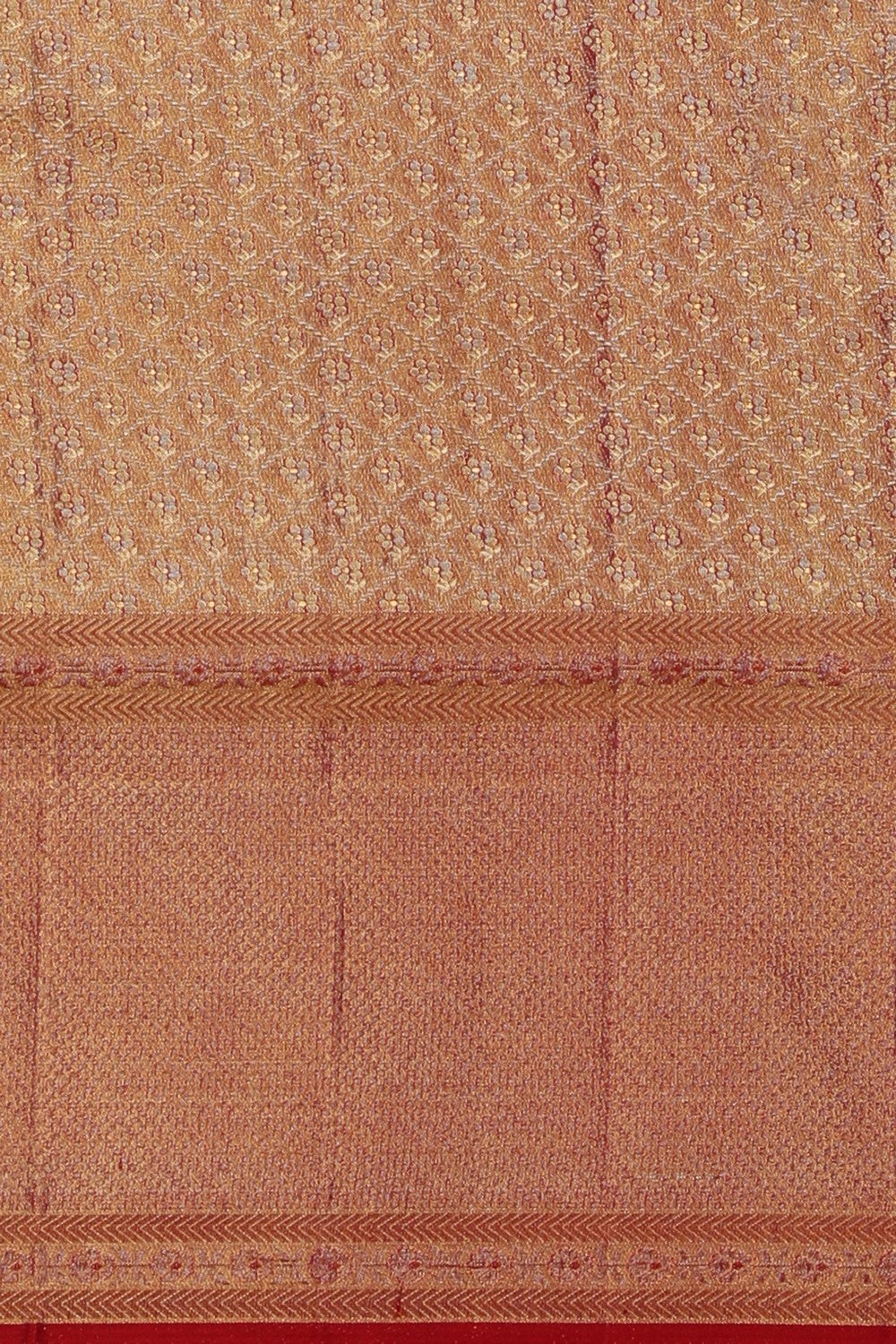 Image of Kanchipattu Tissue Brocade Gold Saree
