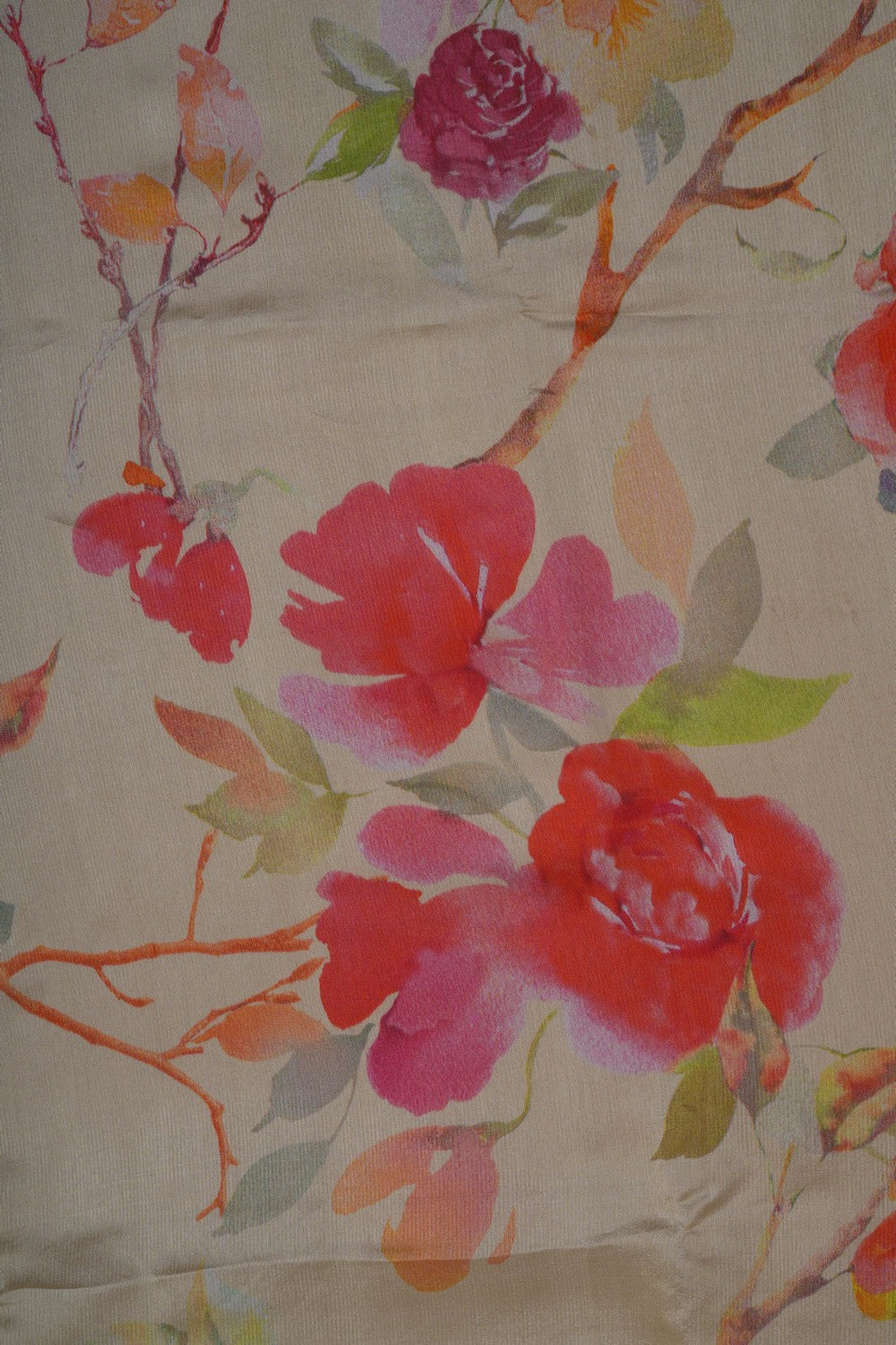 Image of Cream Kora Silk Saree