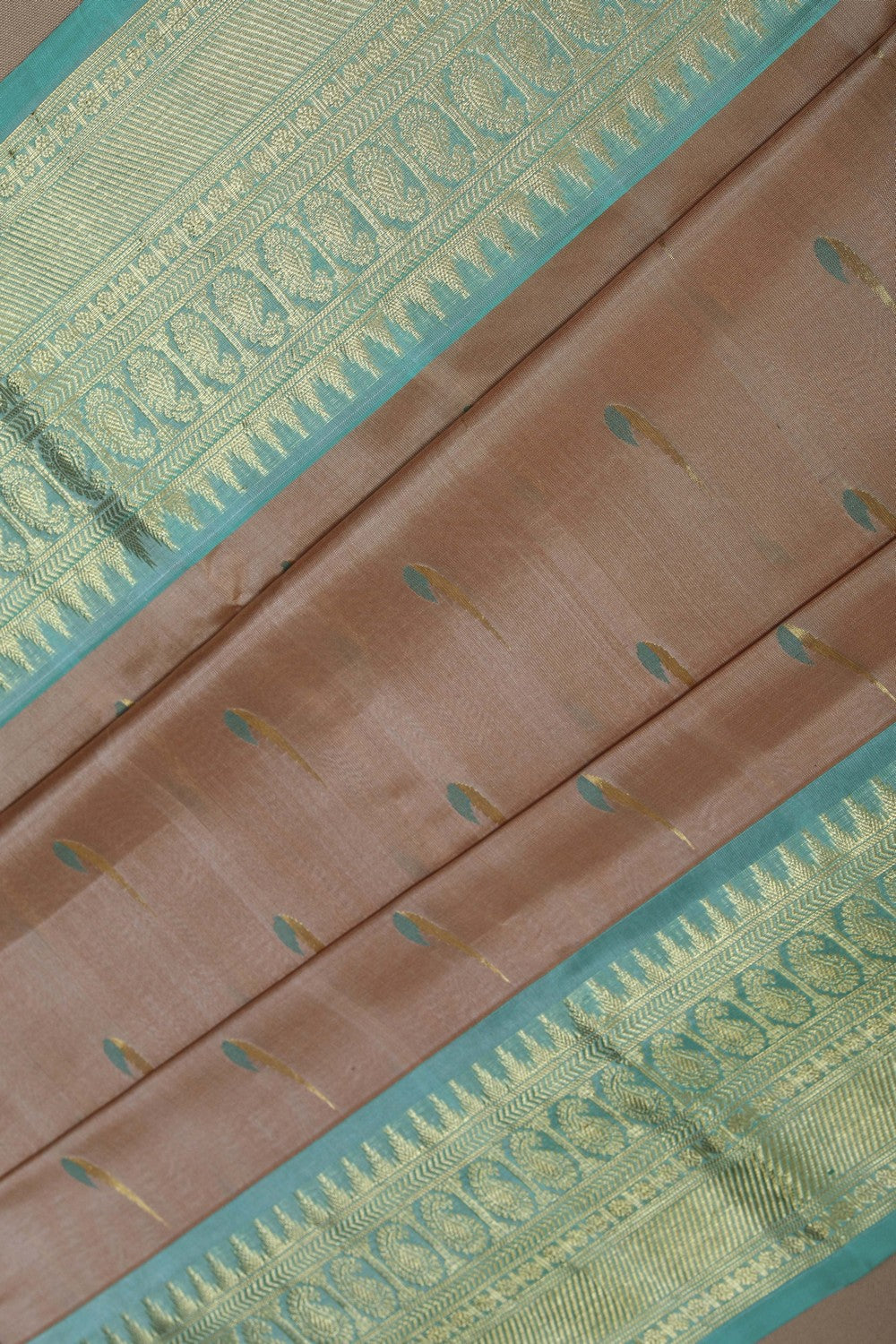 Image of Venkatagiri Silk Beige Saree