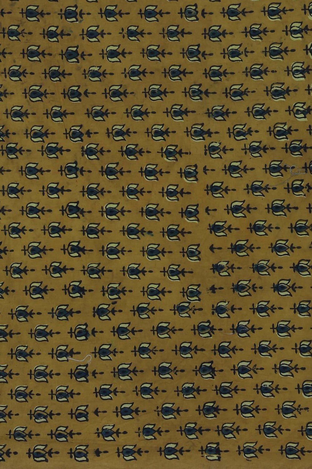 Image of A Tussar Silk Embroidered Saree