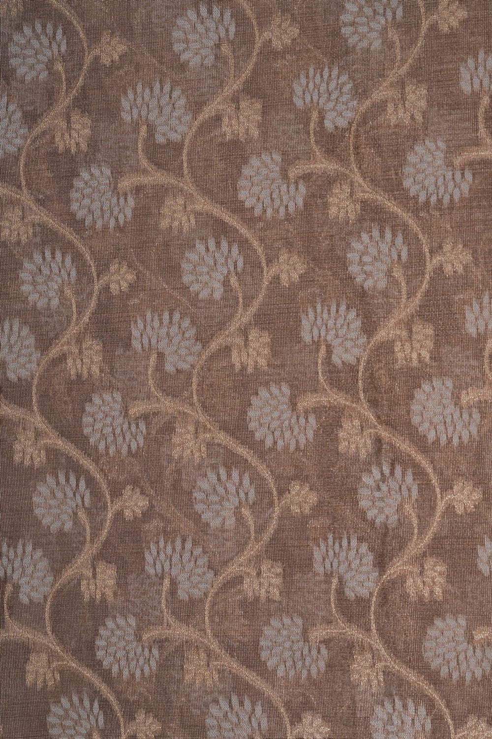 Image of Banarasi Kora Tissue Saree