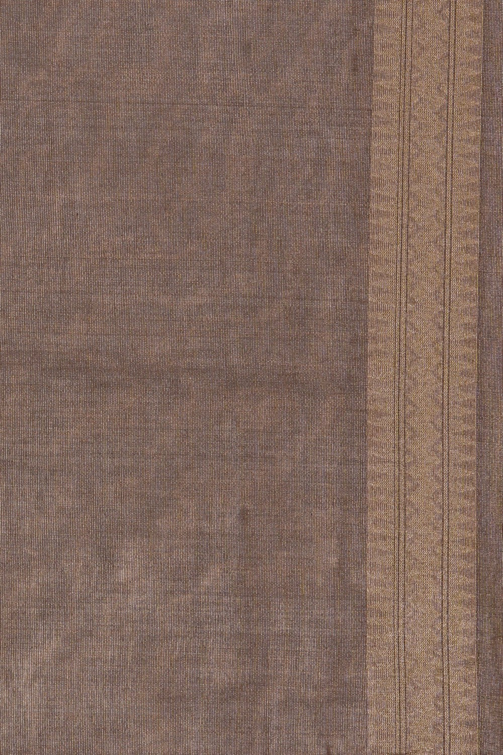 Image of Banarasi Kora Tissue Saree