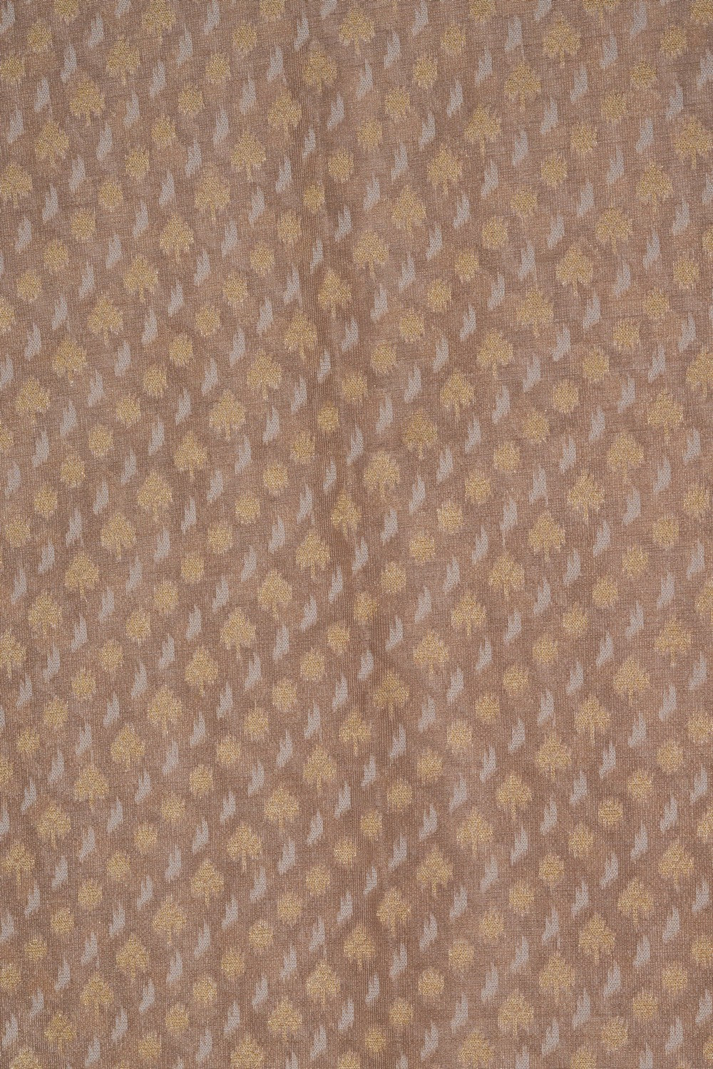 Image of Banarasi Kora Tissue Saree