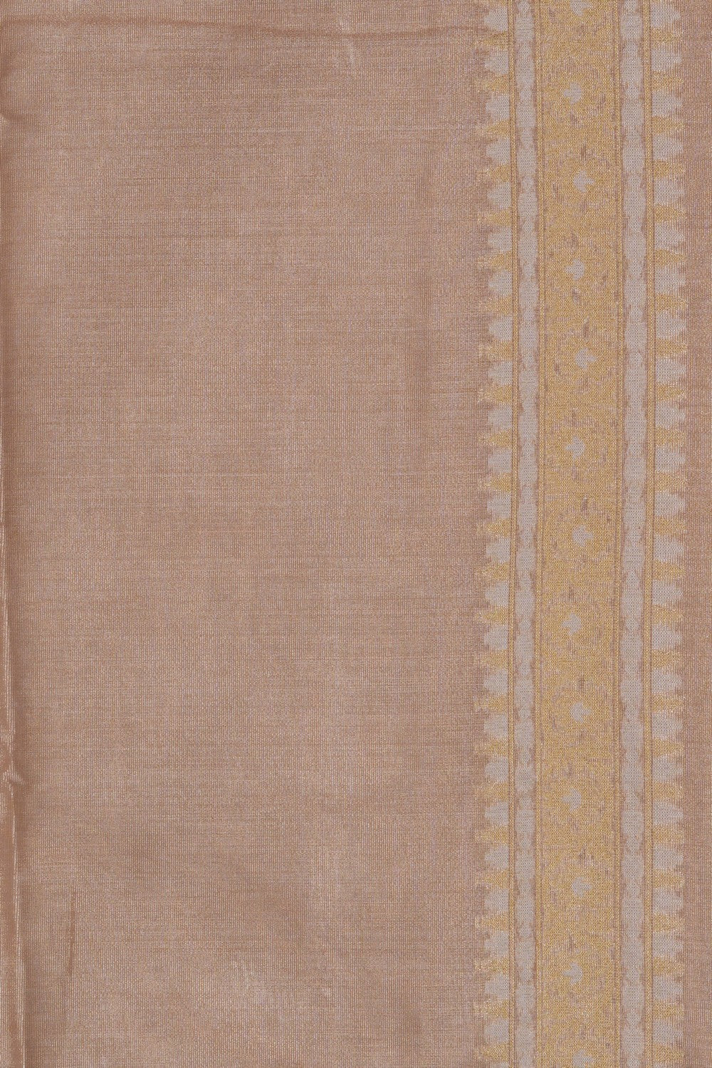 Image of Banarasi Kora Tissue Saree