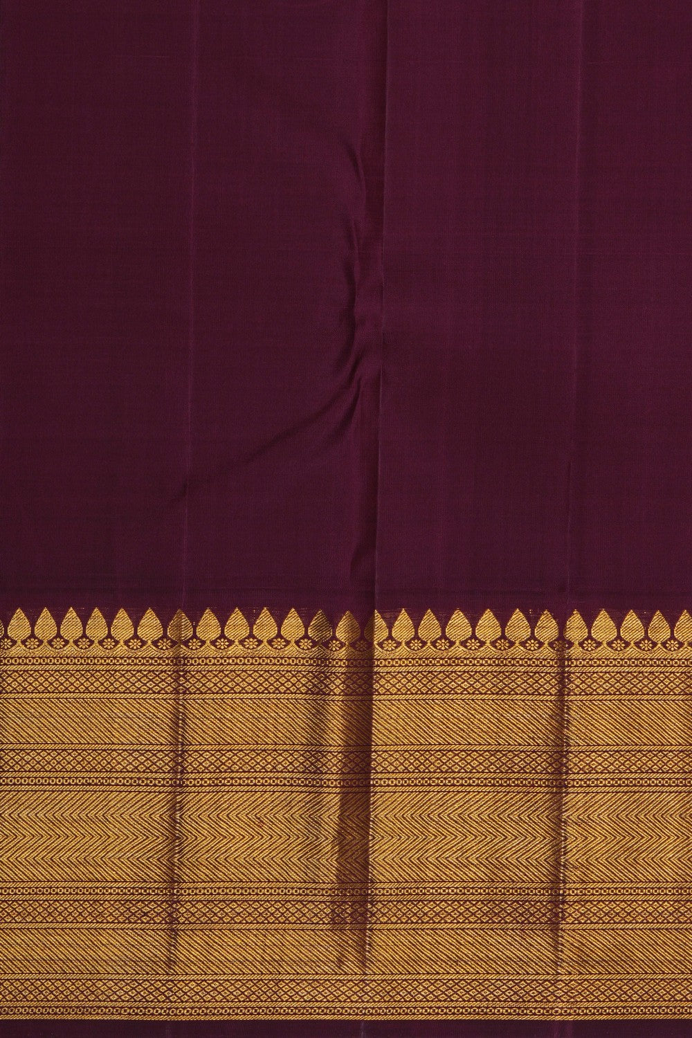 Image of Arani Tissue Silk Brocade Gold Saree