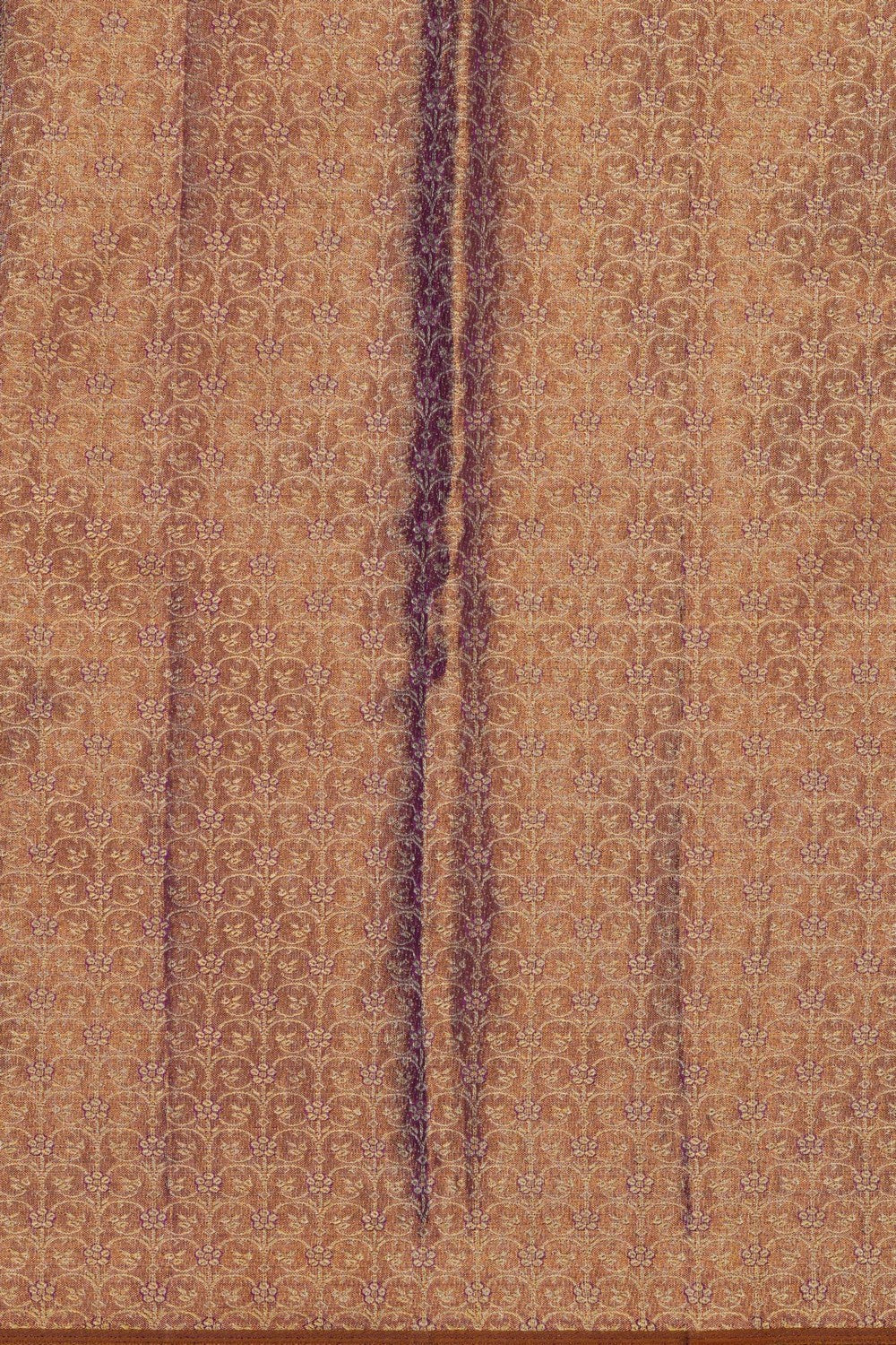 Image of Kanchipattu Tissue Multi-Coloured Saree