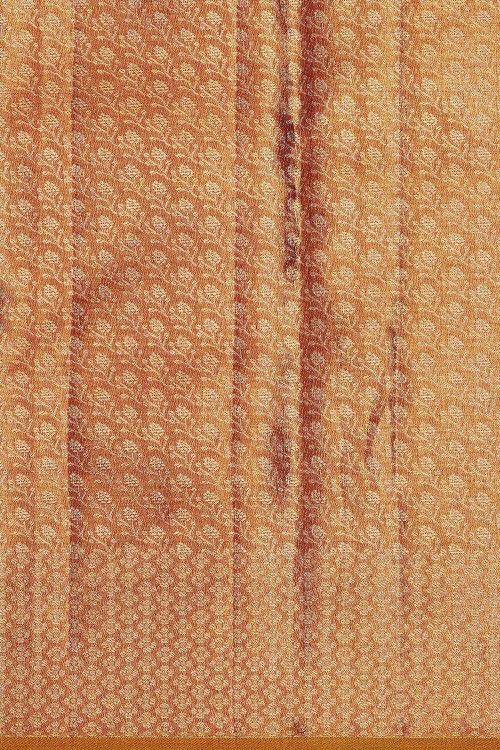 Image of Kanchipattu Tissue Light Brown Saree