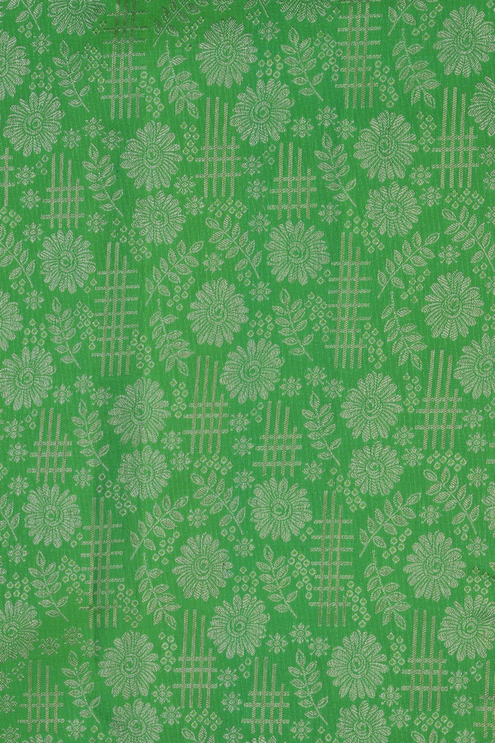 Image of Kanchipattu Tissue Light Green Saree