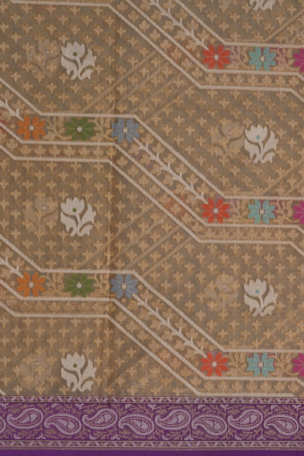 Image of Banarasi Kora Dark Beige Saree