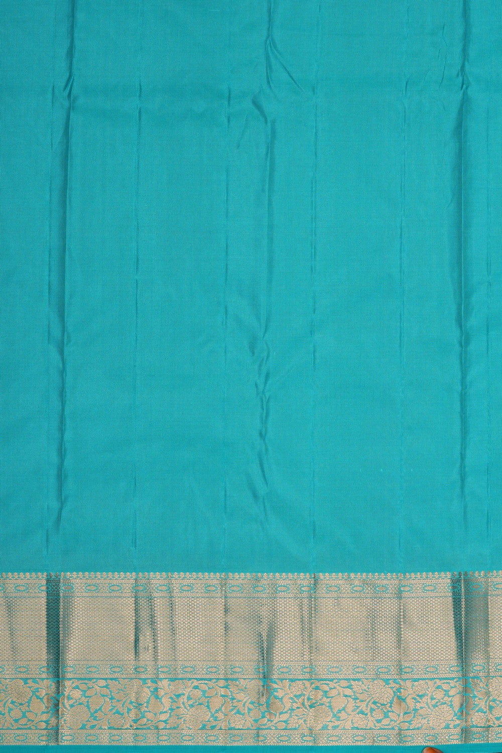 Image of Aqua Blue Kanchipattu Brocade Saree