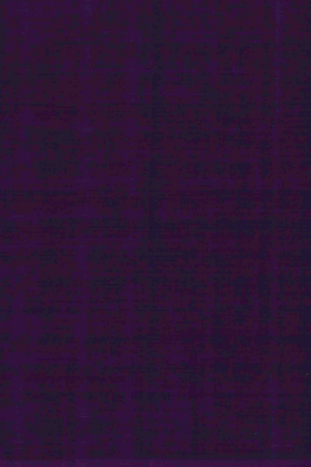 Image of Violet Rajkot Patola Cotton Saree