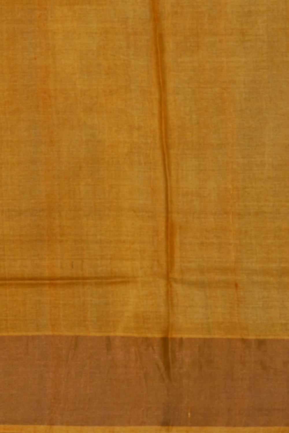 Image of Desi Tussar Silk Saree