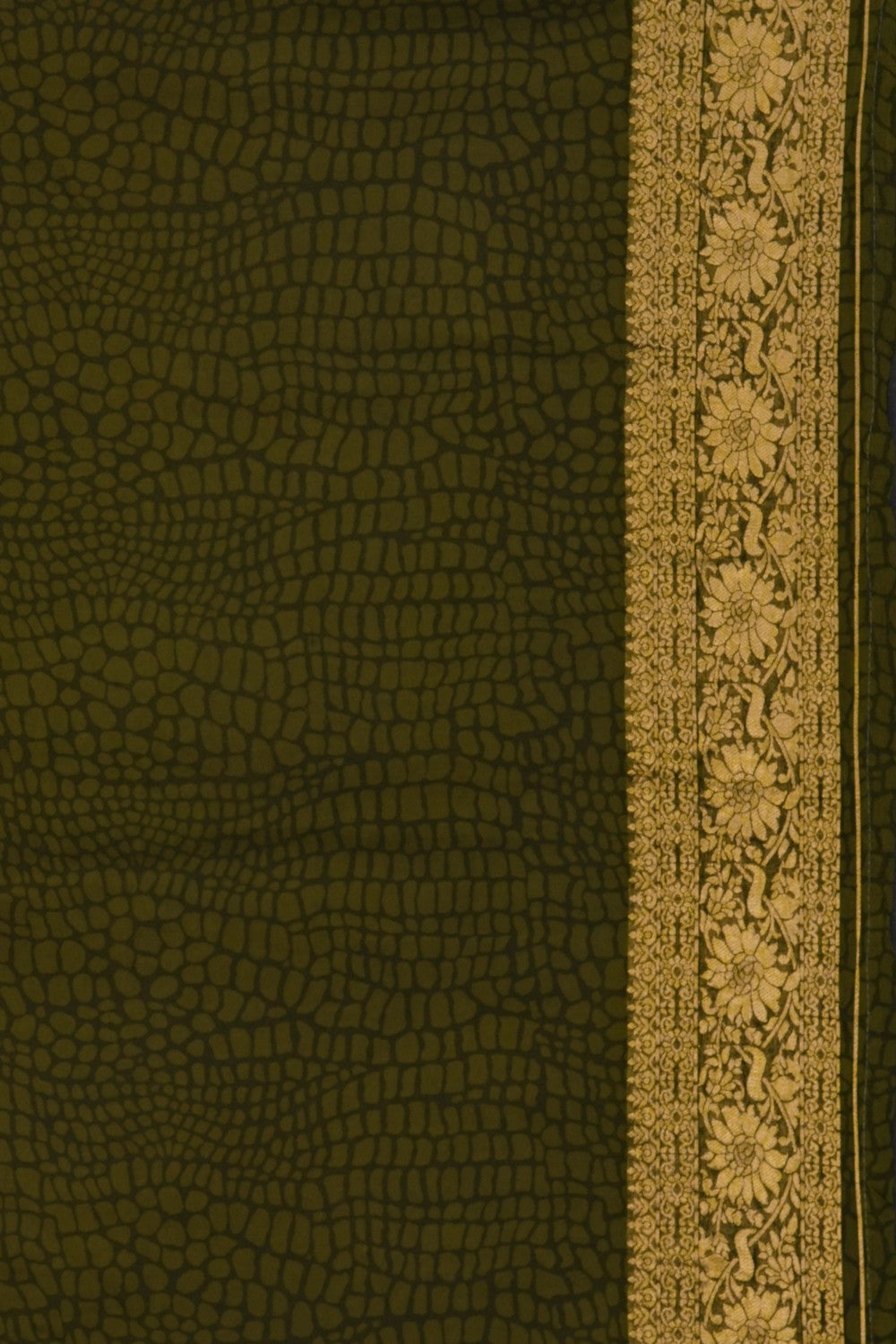 Image of Beige Beautiful Embroidered Georgette Saree