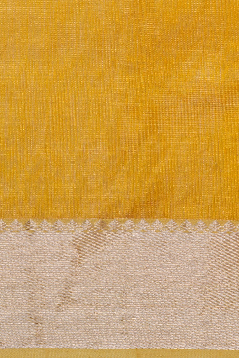 Image of Gold Chanderi Tissue Silk Saree