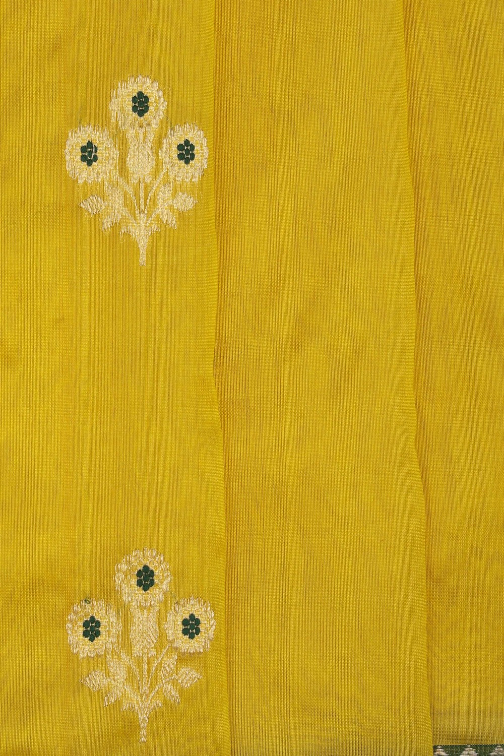 Image of Gold Chanderi Tissue Silk Saree