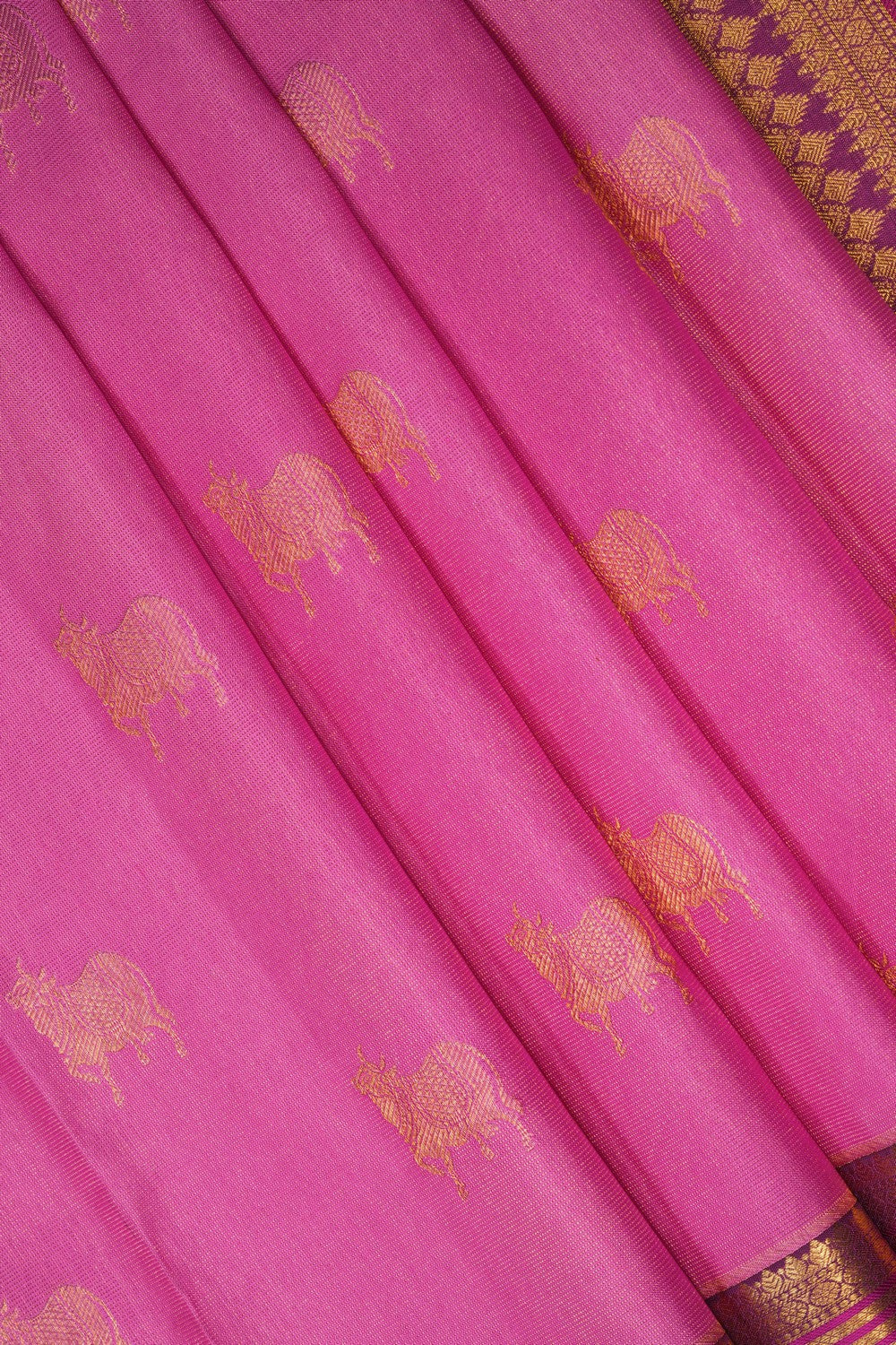 Image of Pink Kanchipattu Saree
