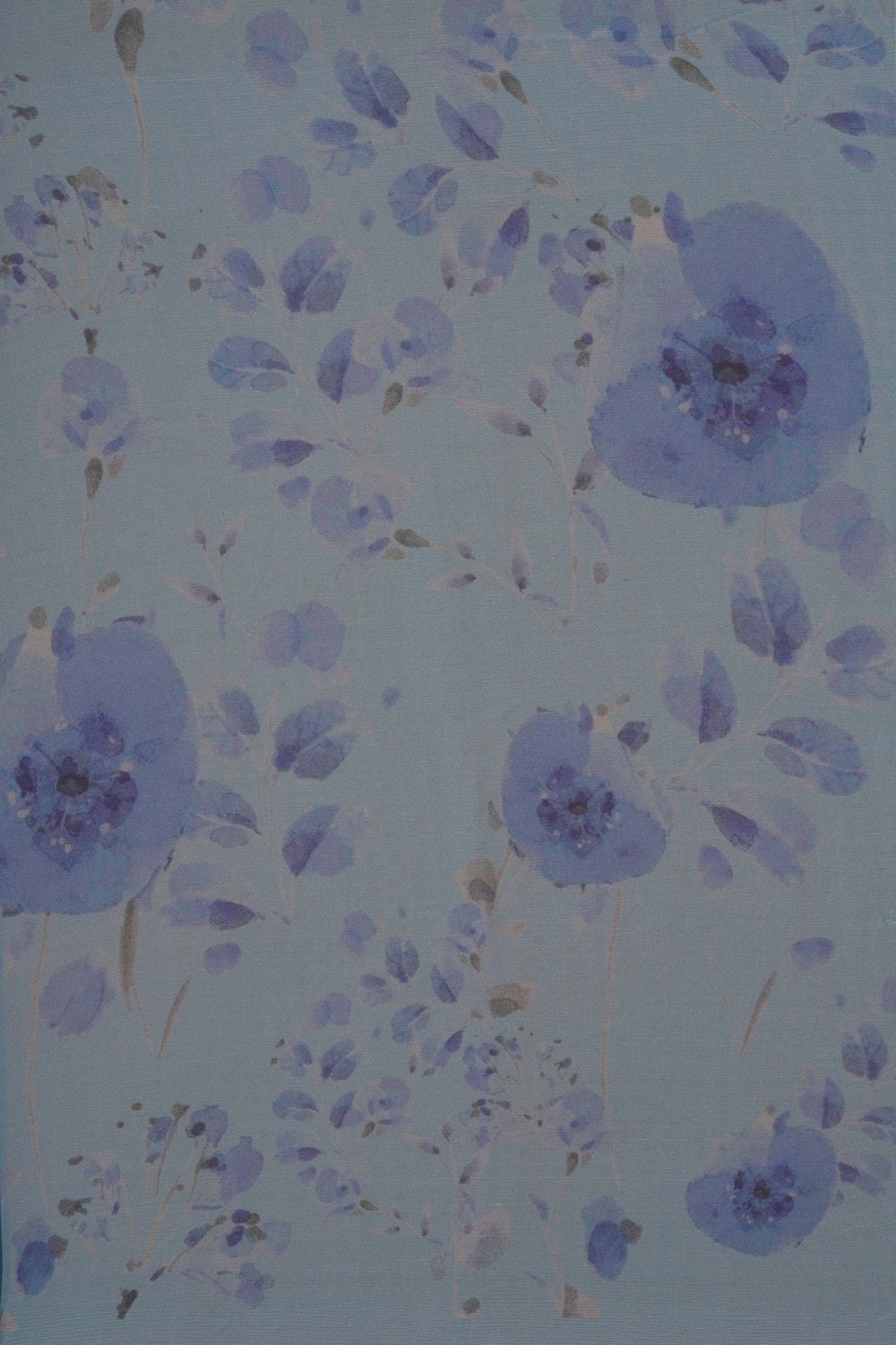 Image of A Floral Print Chiffon Saree