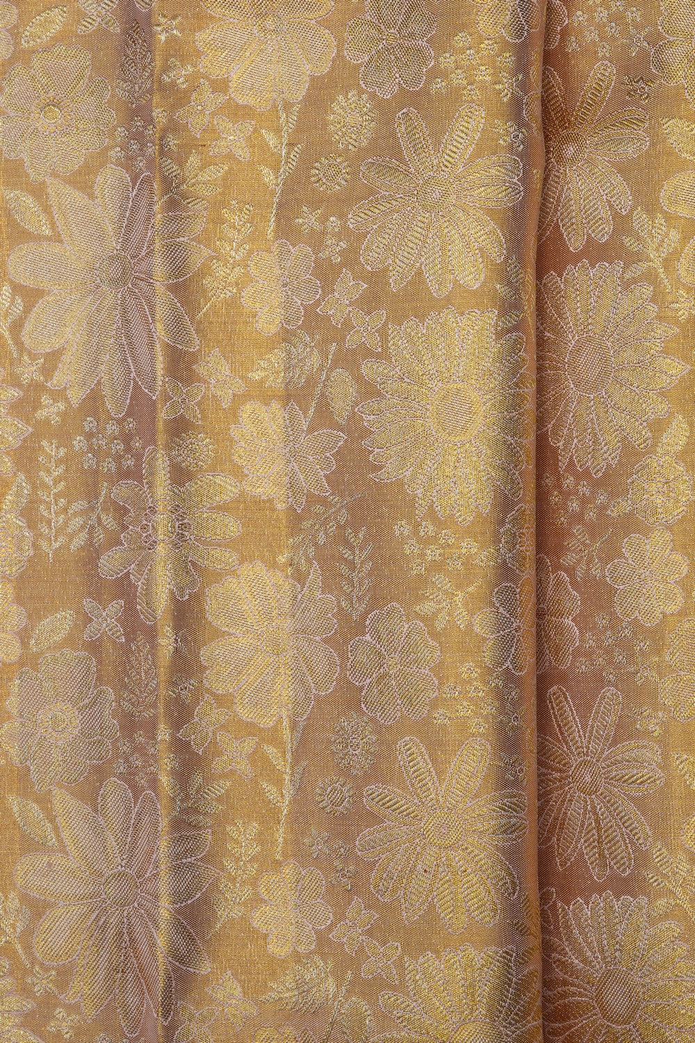Image of Gold Kanchipattu Tissue Brocade Saree