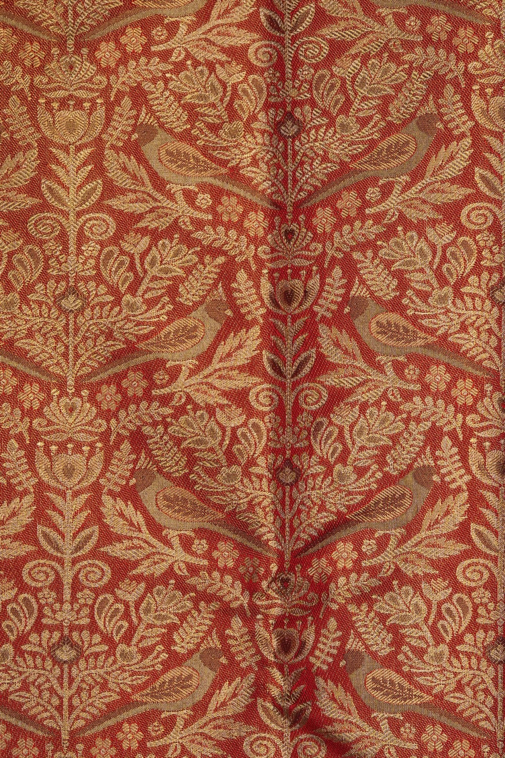 Image of Gold Kanchipattu Tissue Brocade Saree