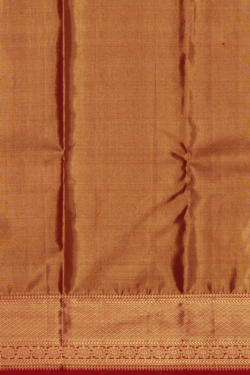 Image of Gold Kanchipattu Tissue Brocade Saree