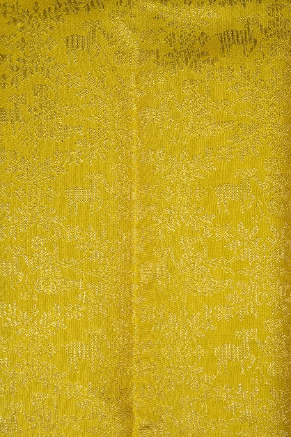 Image of Spring Yellow Kanchipattu Brocade Saree
