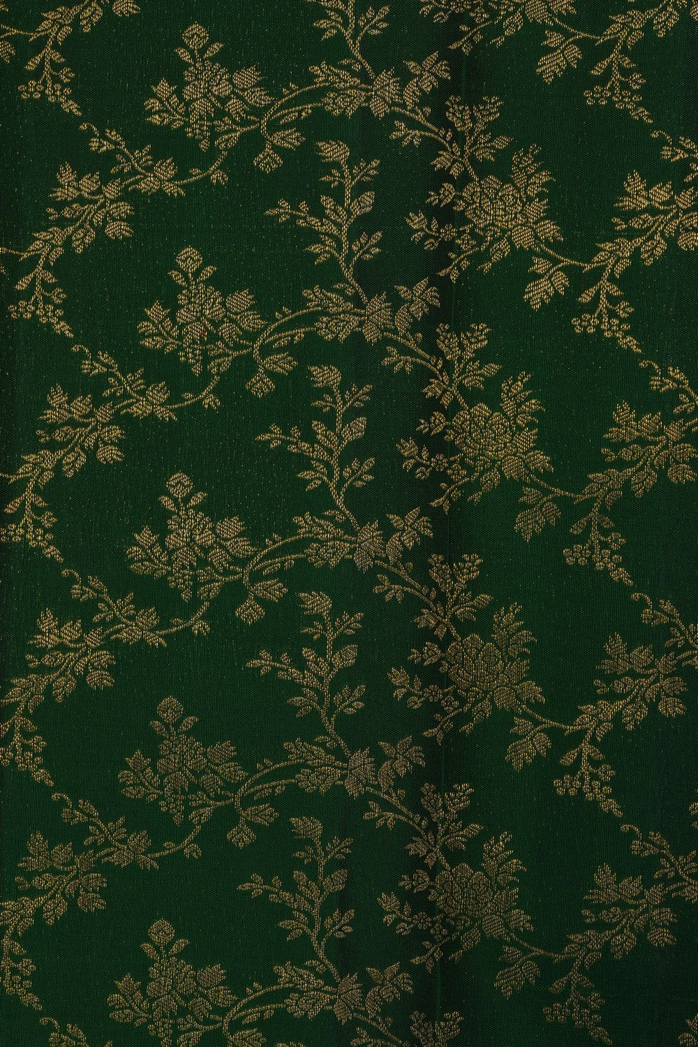 Image of Green Kanchipattu Brocade Saree