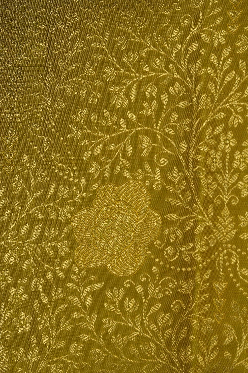 Image of Spring-Green Kanchipattu Brocade Saree