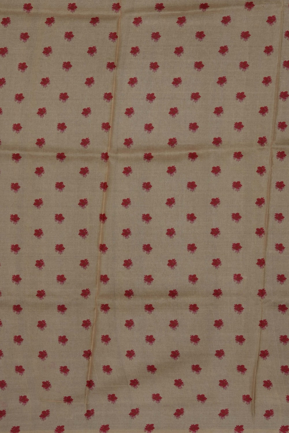 Image of Cream Desi Tussar Silk Saree