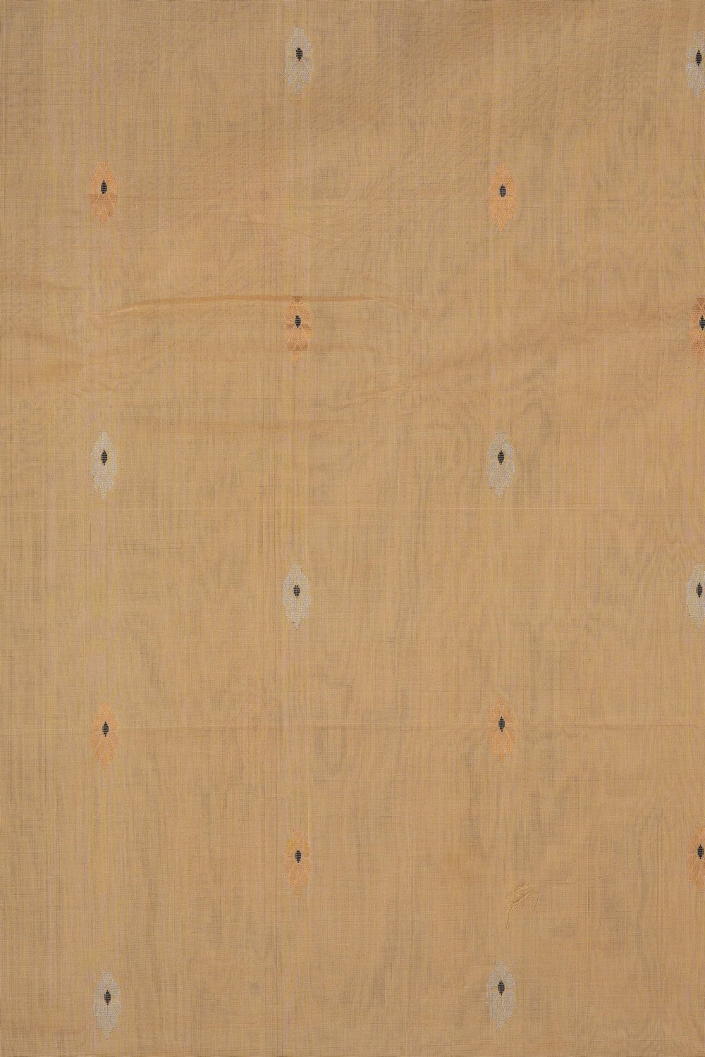 Image of Beige Gadwal Cotton Saree