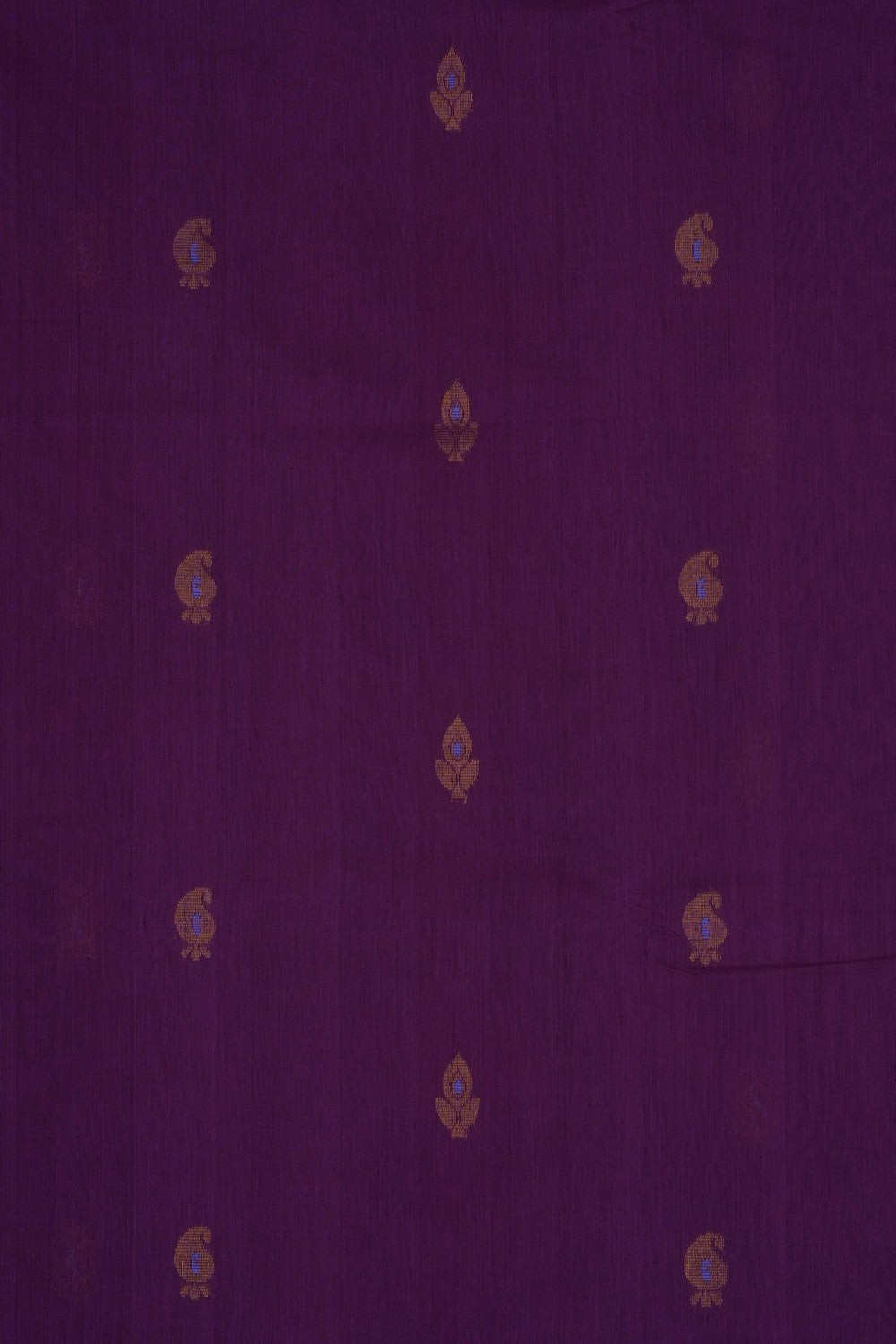 Image of Violet Gadwal Cotton Saree