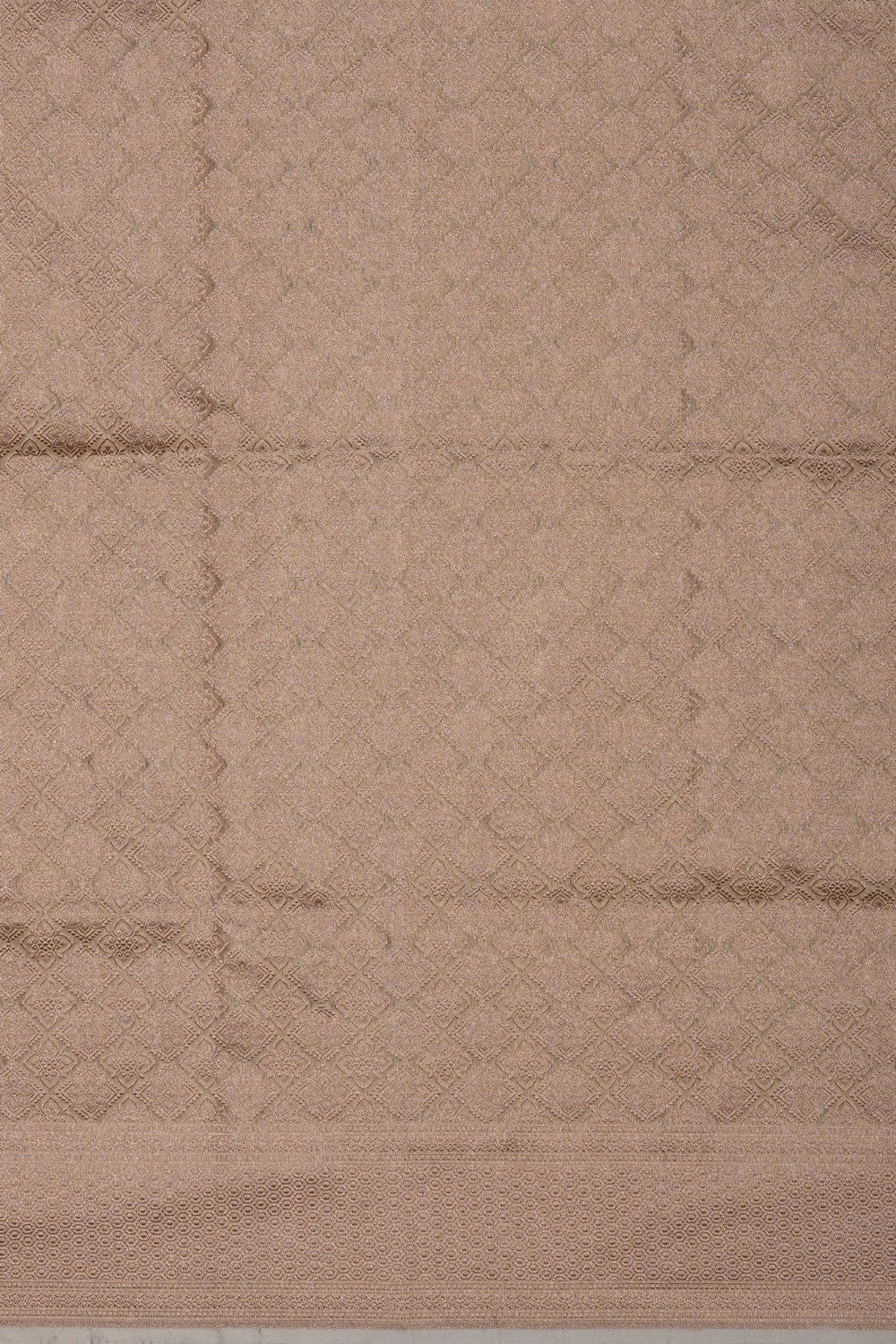 Image of Banarasi Tissue Silk Saree