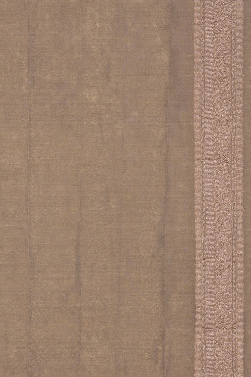 Image of Banarasi Tissue Silk Saree