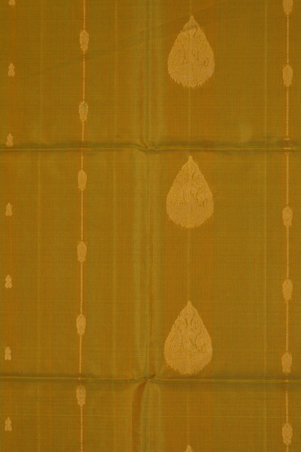 Image of Spring Yellow South Silk Cotton Saree