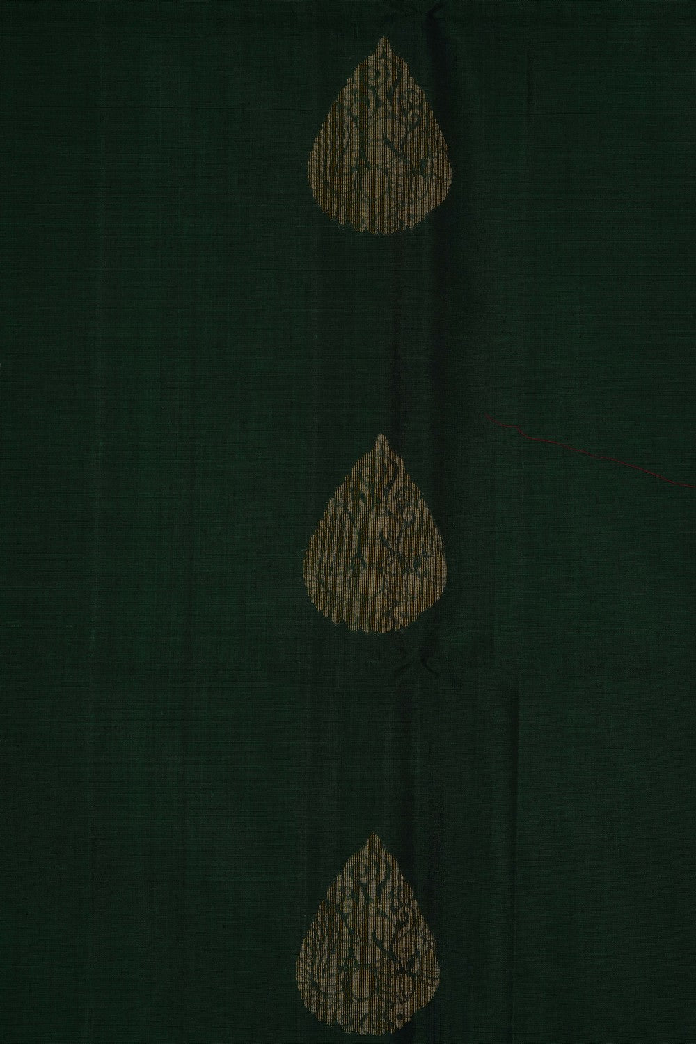 Image of Green South Silk Cotton Saree