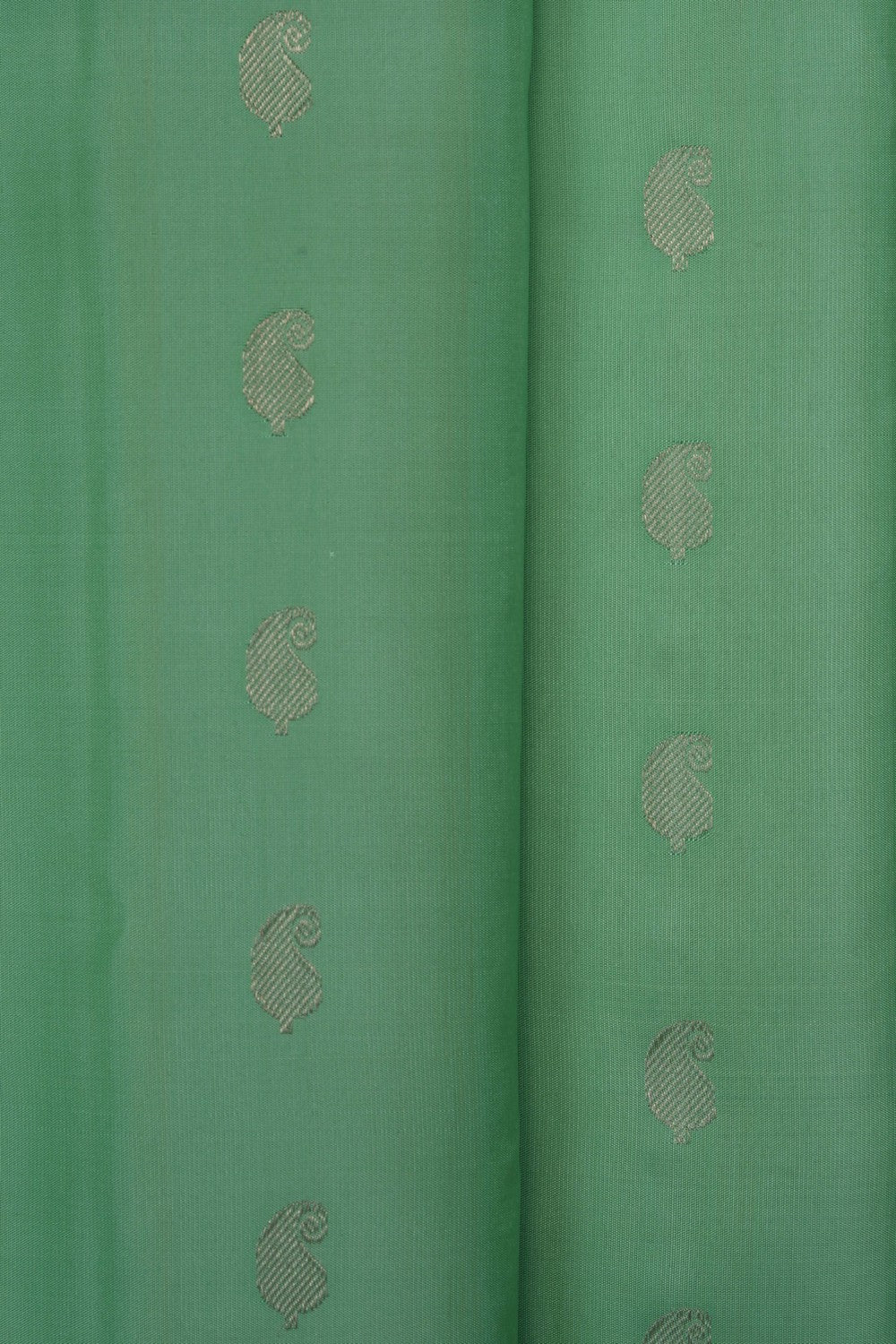 Image of Pastel green Gadwal Silk Saree