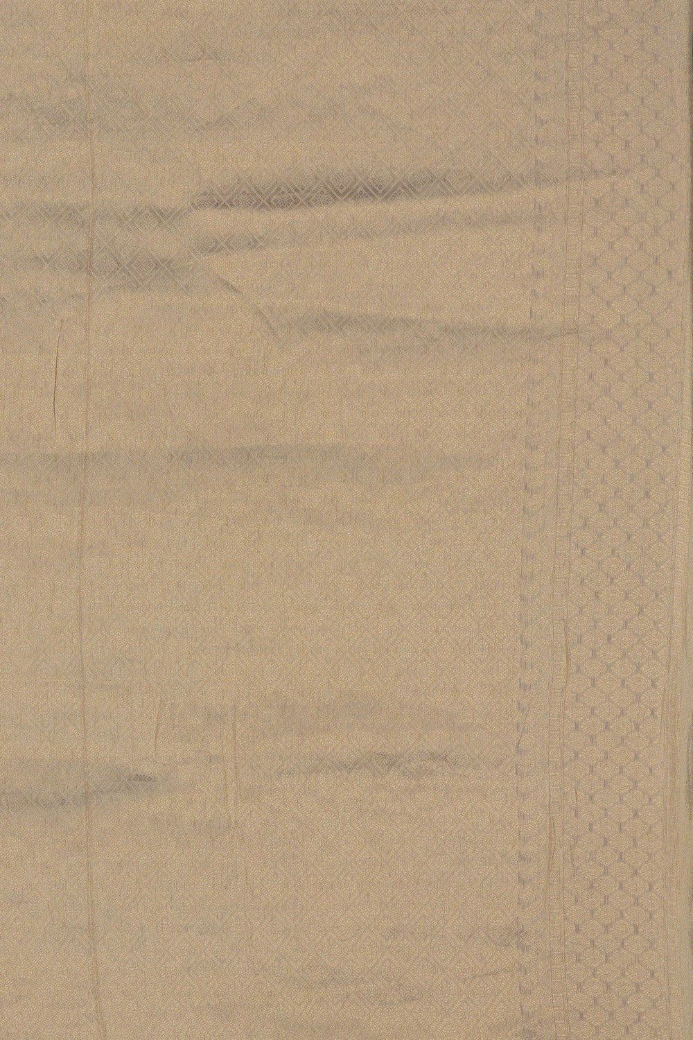 Image of Gold Tissue Silk Embroidery Saree