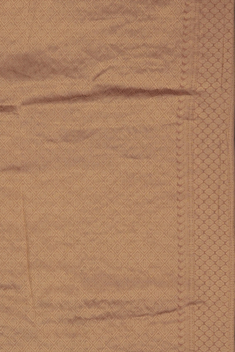 Image of Gold Tissue Silk Embroidery Saree