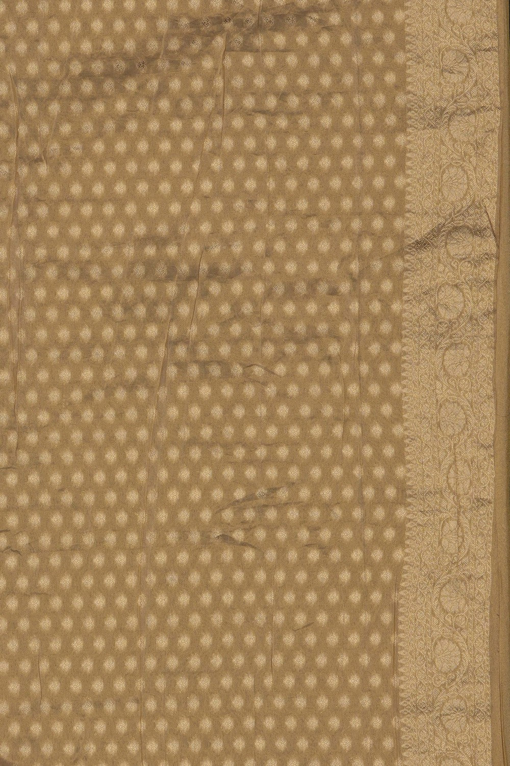 Image of Gold Tissue Silk Embroidery Saree