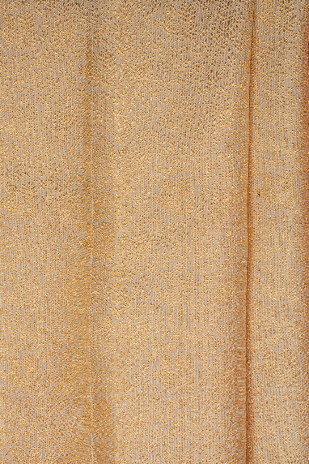 Image of Cream Kanchipattu Brocade Saree