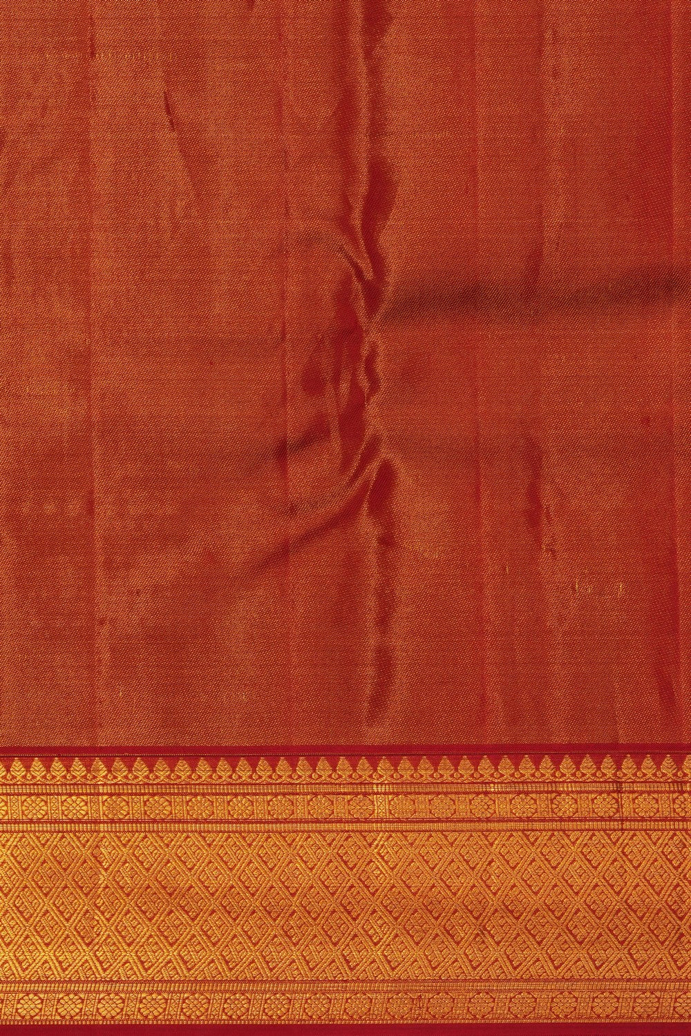 Image of Gold Kanchipattu Tissue Brocade Saree