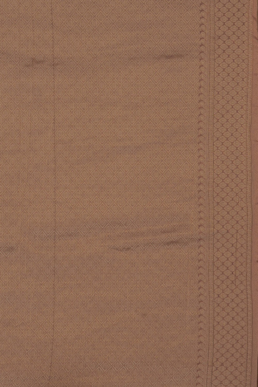 Image of Gold Tissue Silk Embroidery Saree