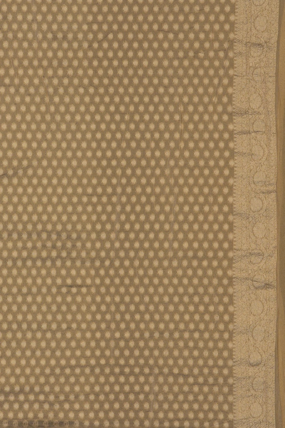 Image of Gold Tissue Silk Embroidery Saree
