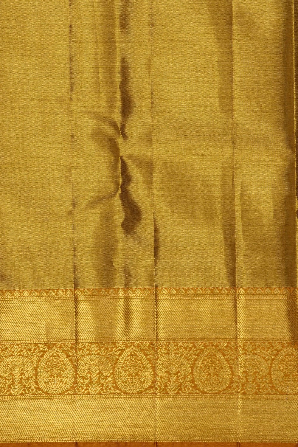 Image of Kanchipattu Gold Tissue Brocade Saree