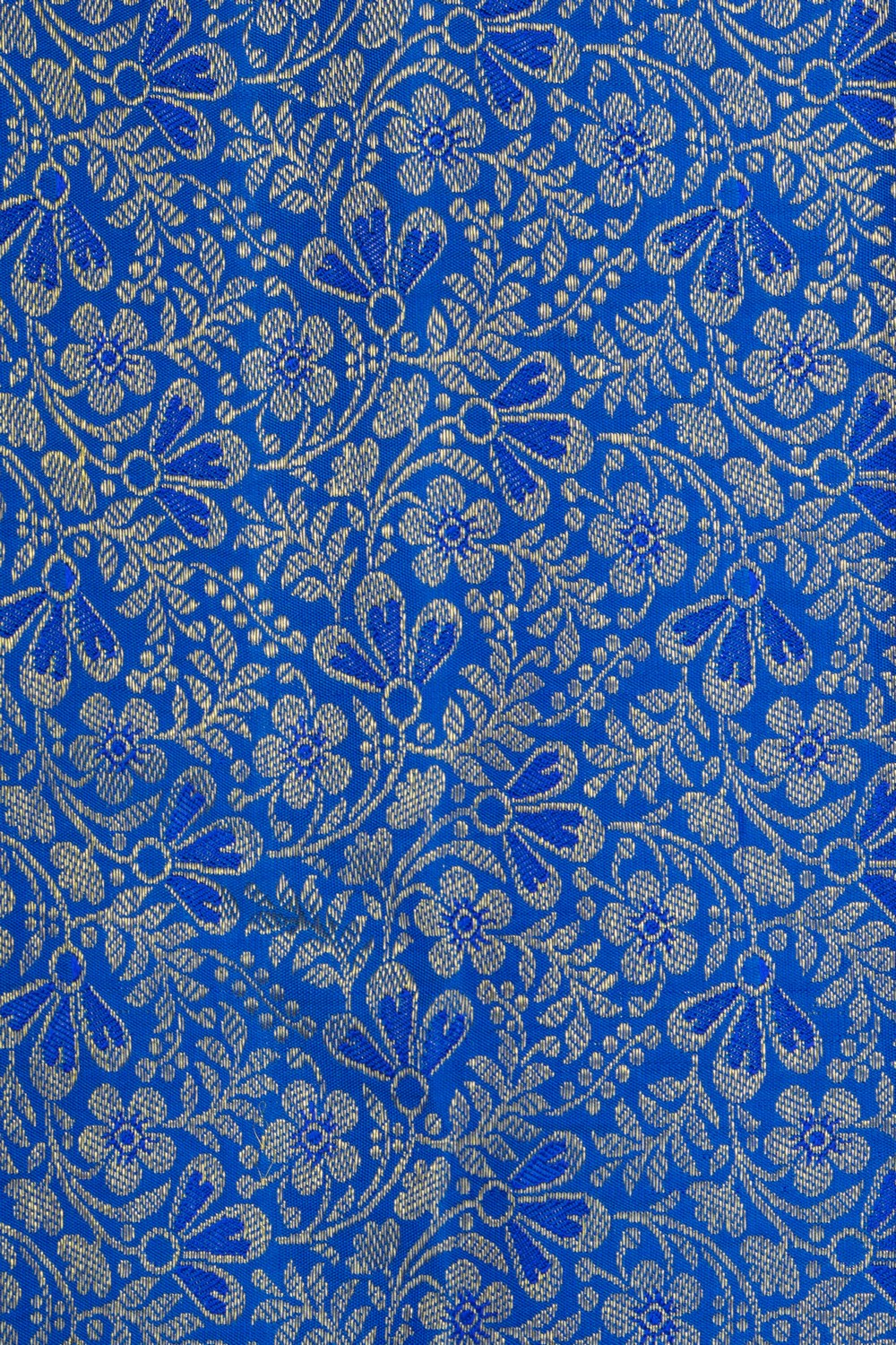 Image of Blue Kanchipattu Brocade Saree