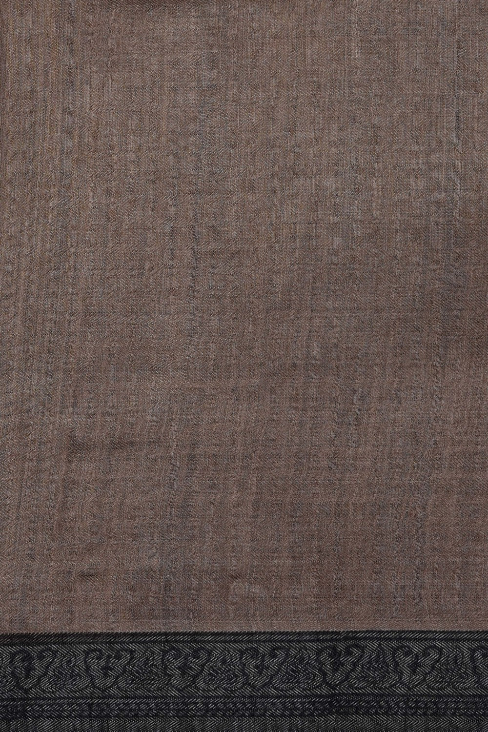 Image of Beige Pashmina Silk Saree