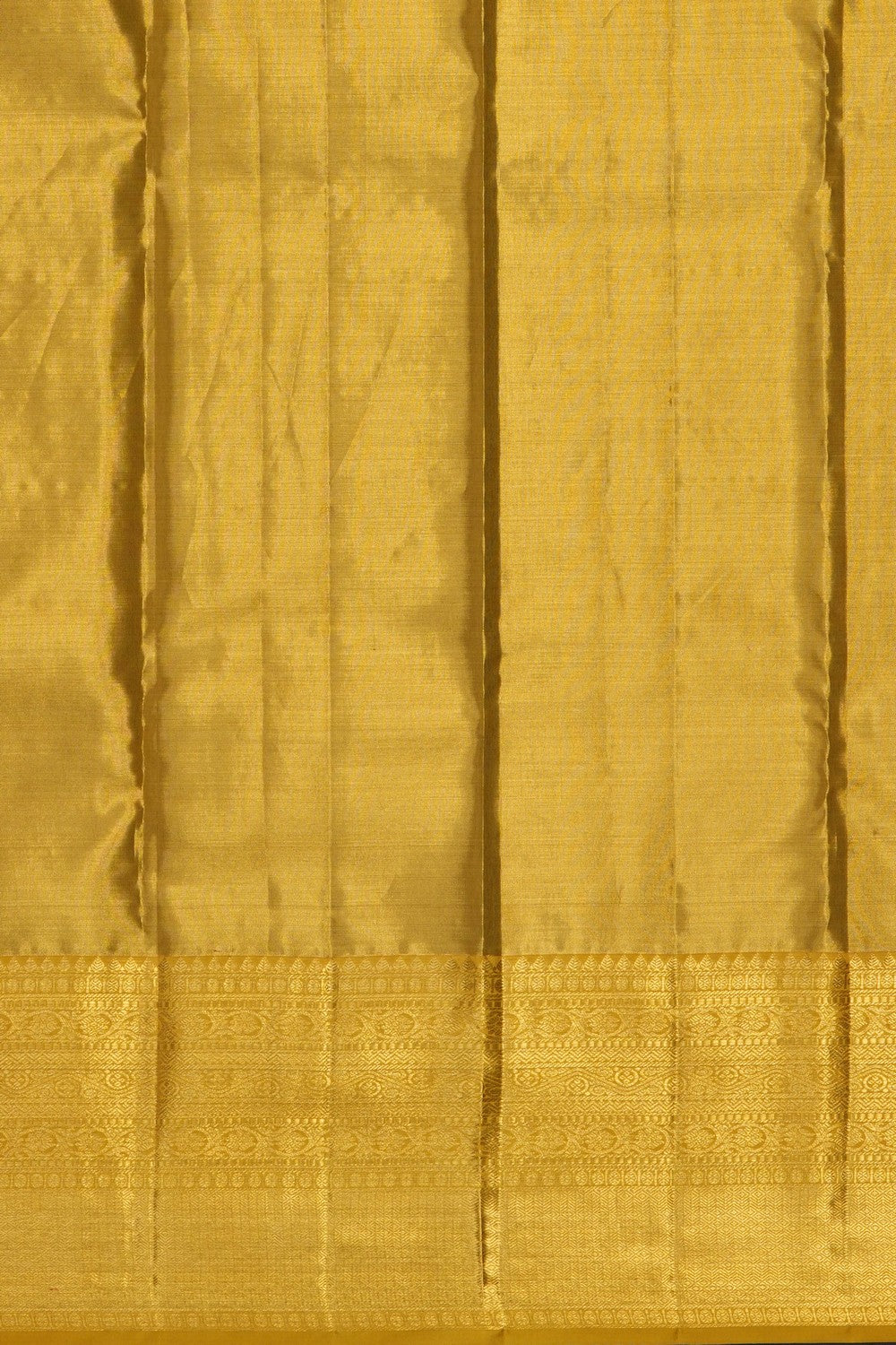 Image of Gold Kanchipattu Tissue Brocade Saree